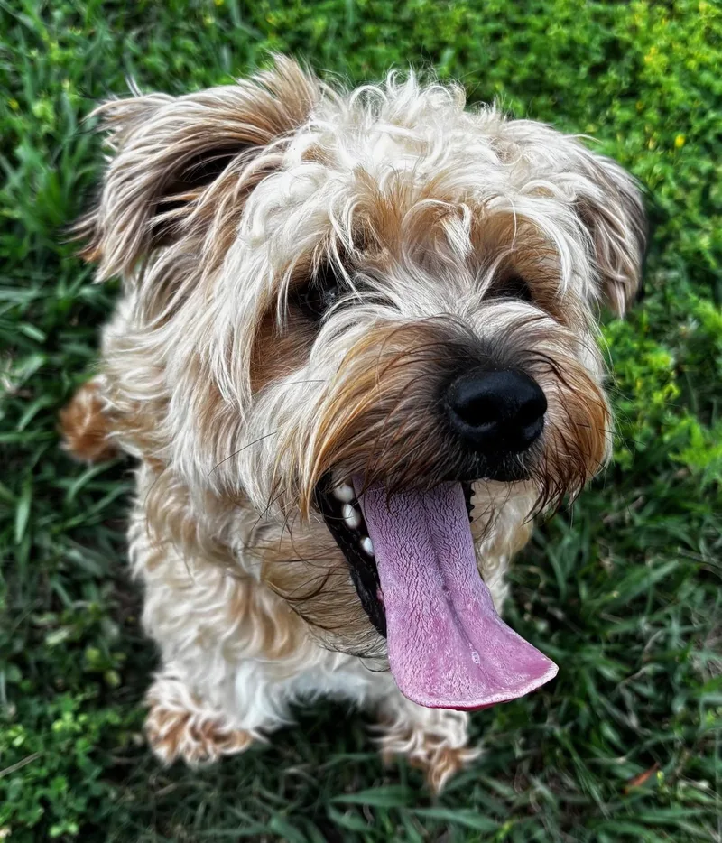 Jefferson thumbnail 5