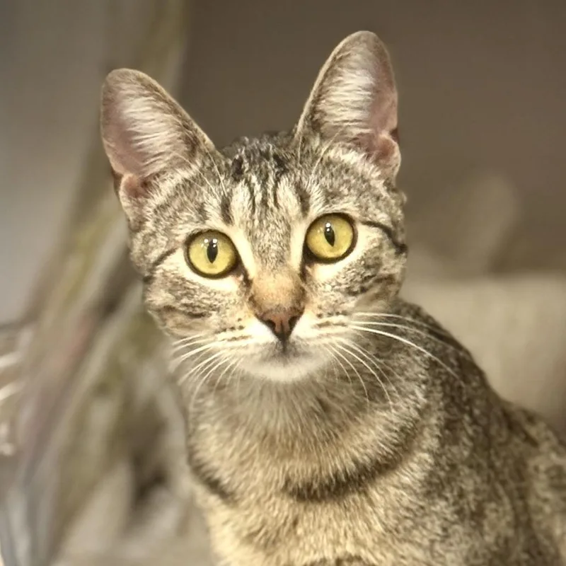 Jenny Fromdabloc thumbnail 2