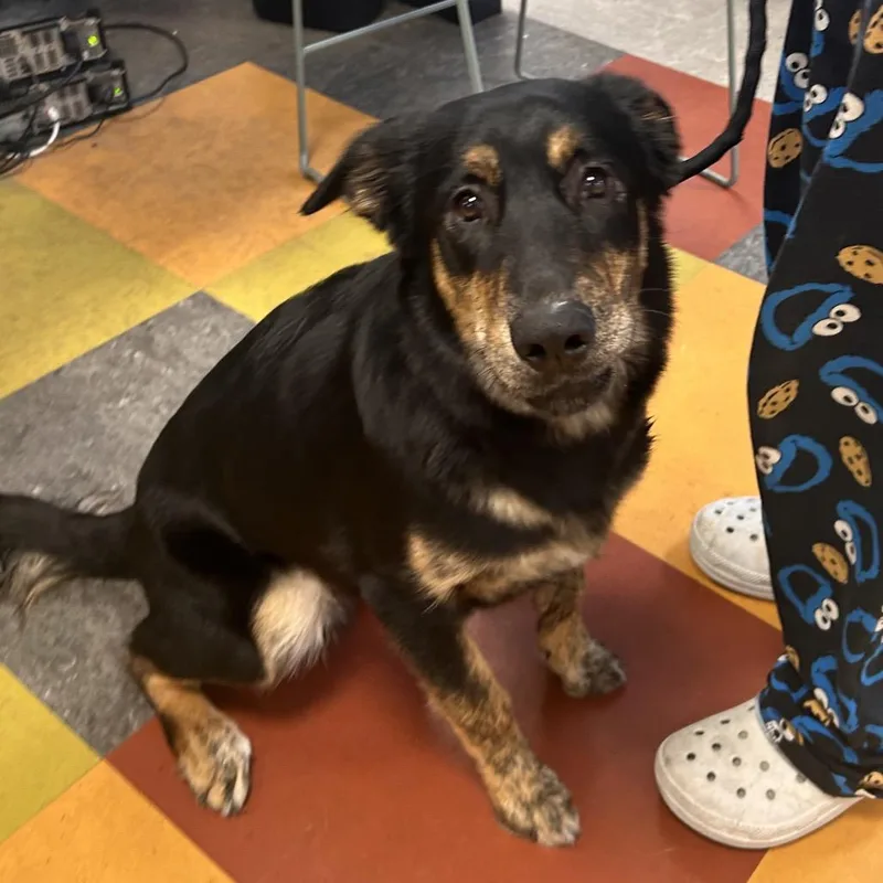 Felix Planet thumbnail 3