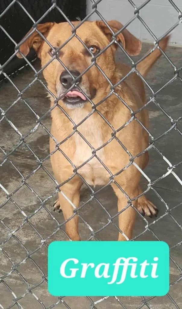 Graffiti thumbnail 3