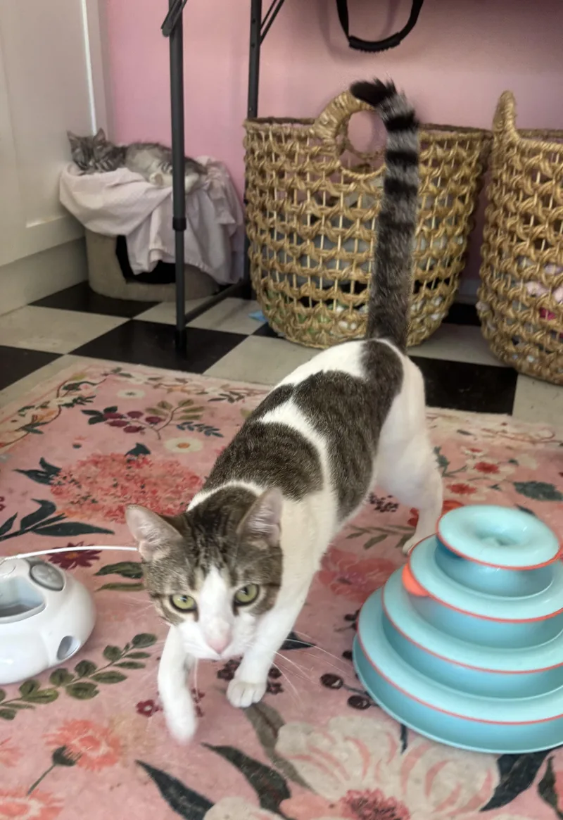 Freckles thumbnail 2