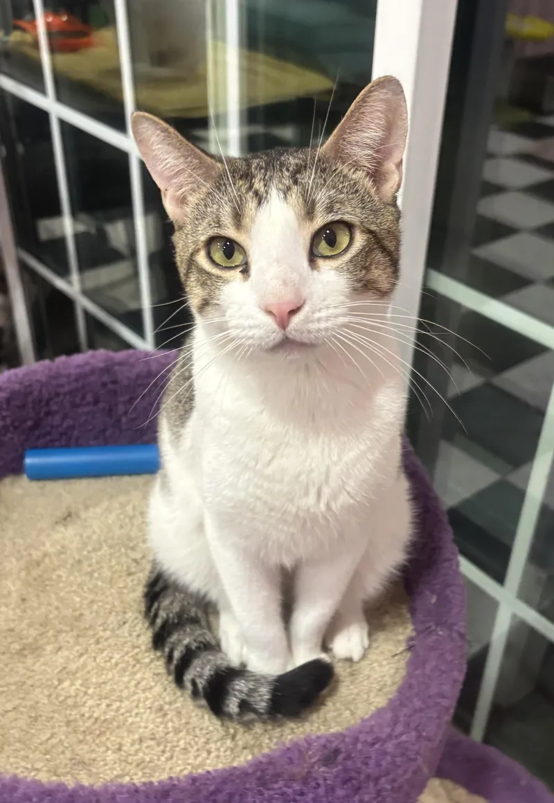 Freckles thumbnail 3