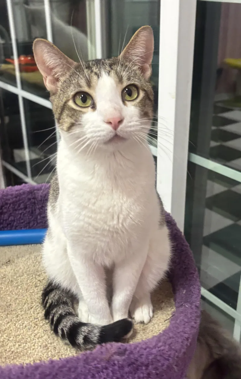 Freckles thumbnail 4