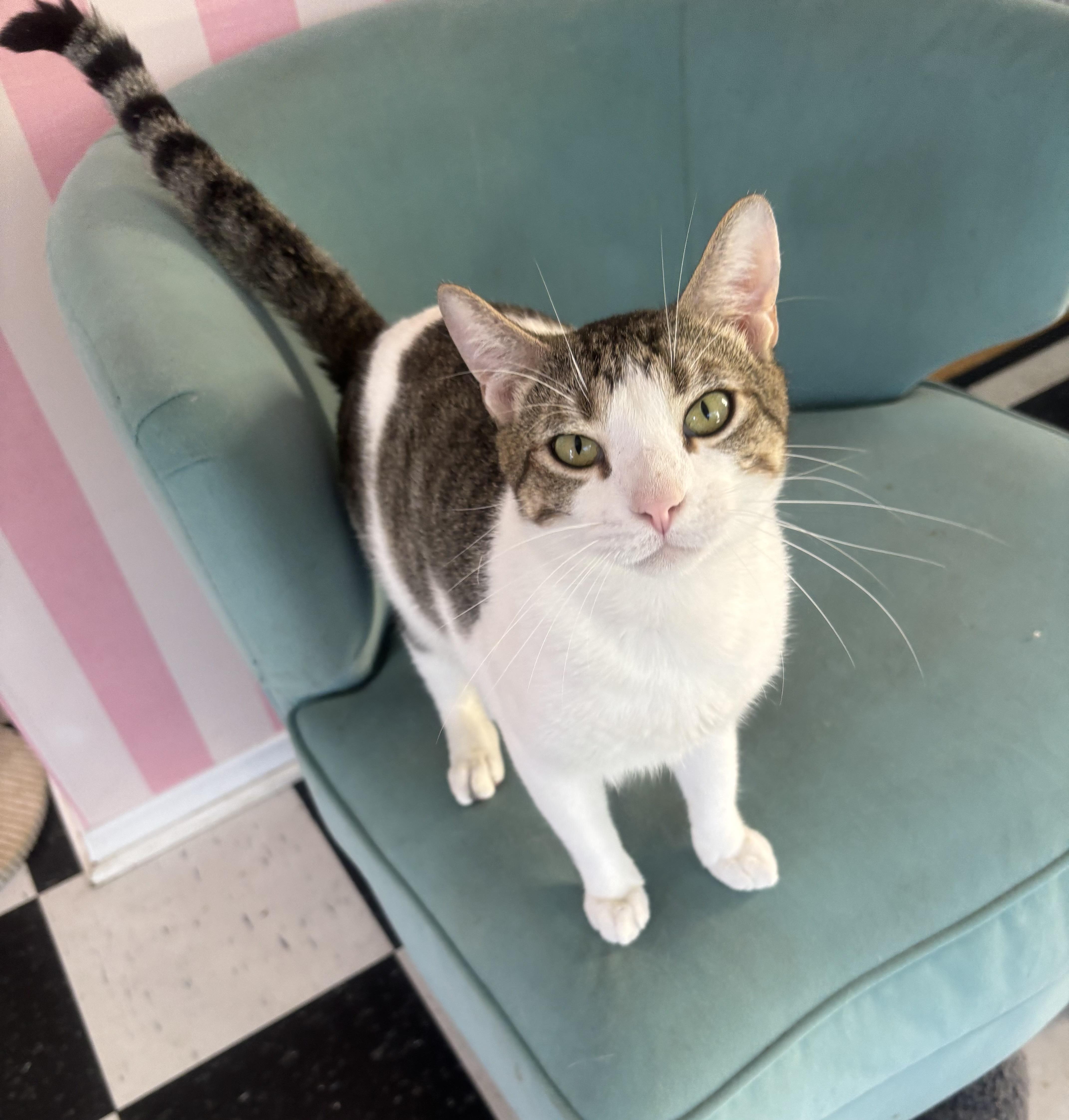 Freckles thumbnail 6