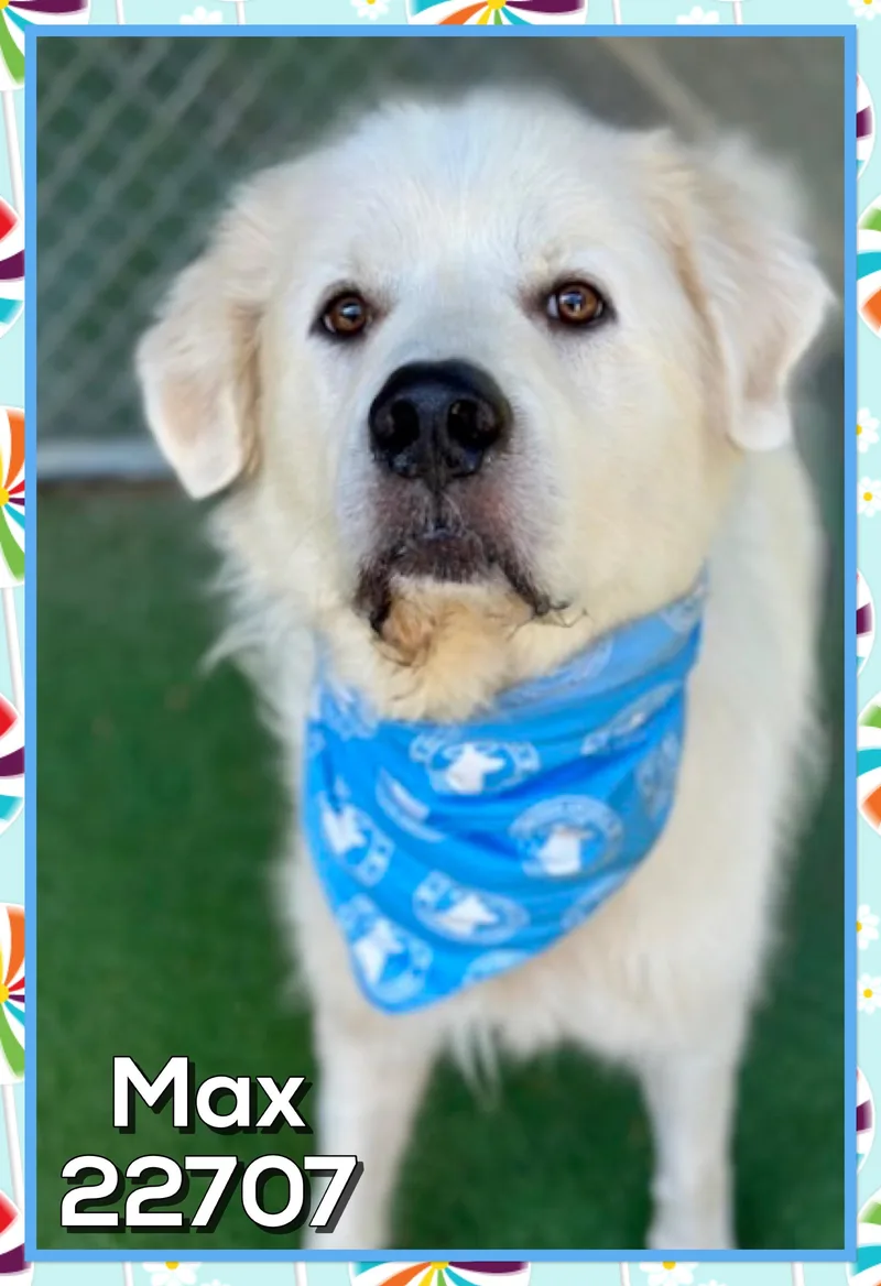Max