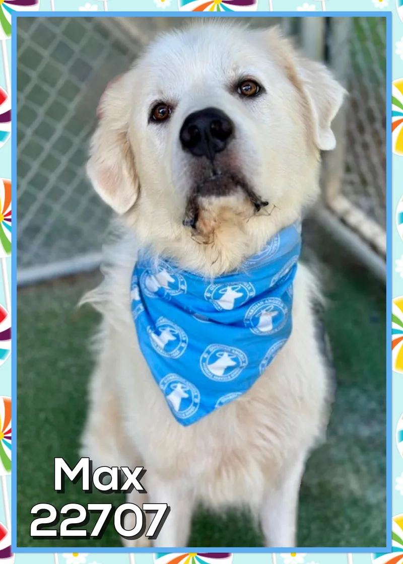 Max thumbnail 3