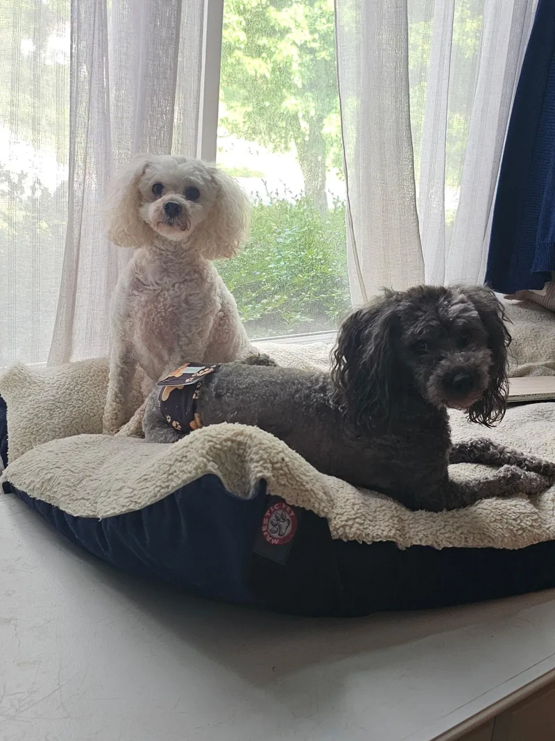 Cooper & Riley thumbnail 3