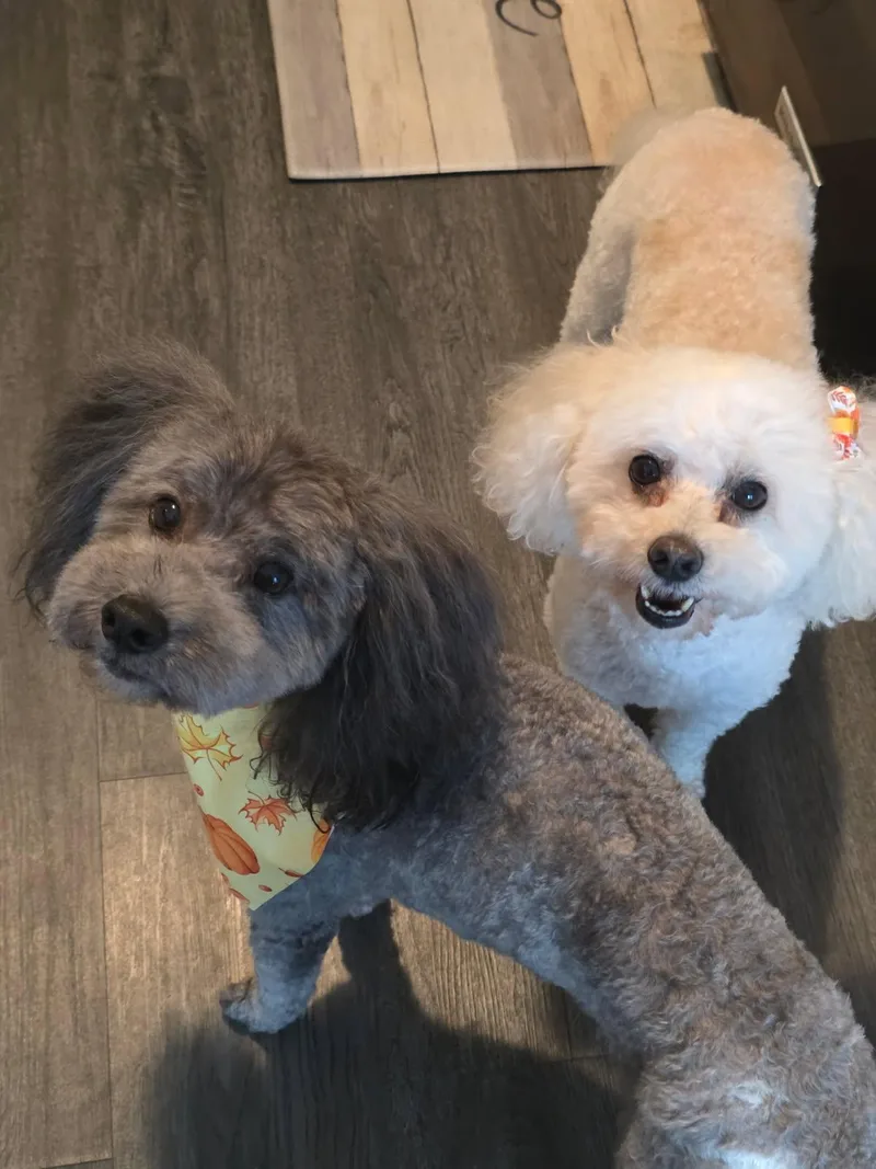 Cooper & Riley thumbnail 6