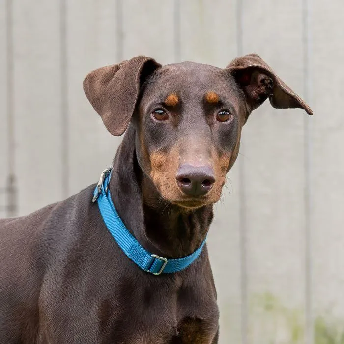 Nicholas thumbnail 3