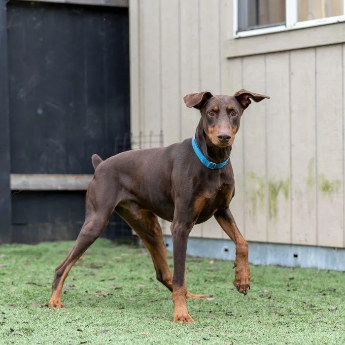 Nicholas thumbnail 5