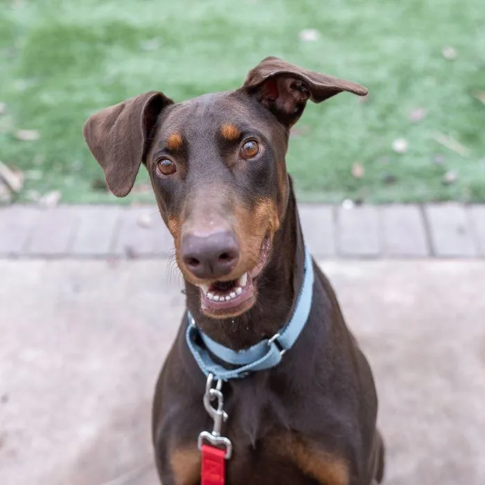 Nicholas thumbnail 6