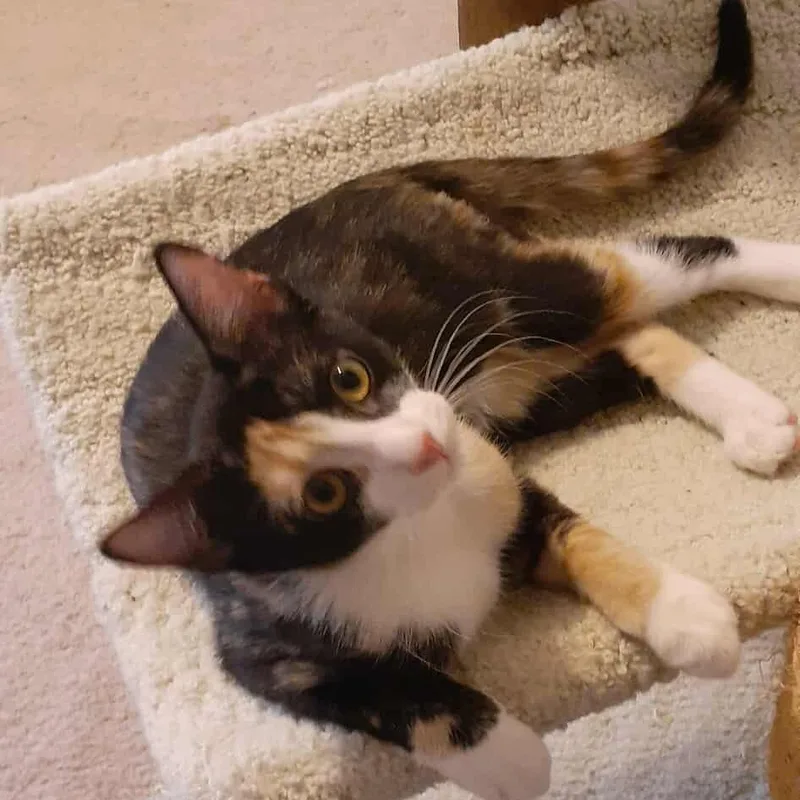 Kiwi And Peaches thumbnail 3