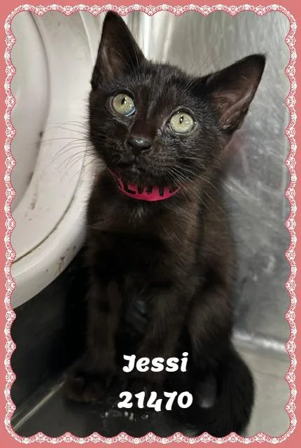 Jessi thumbnail 3