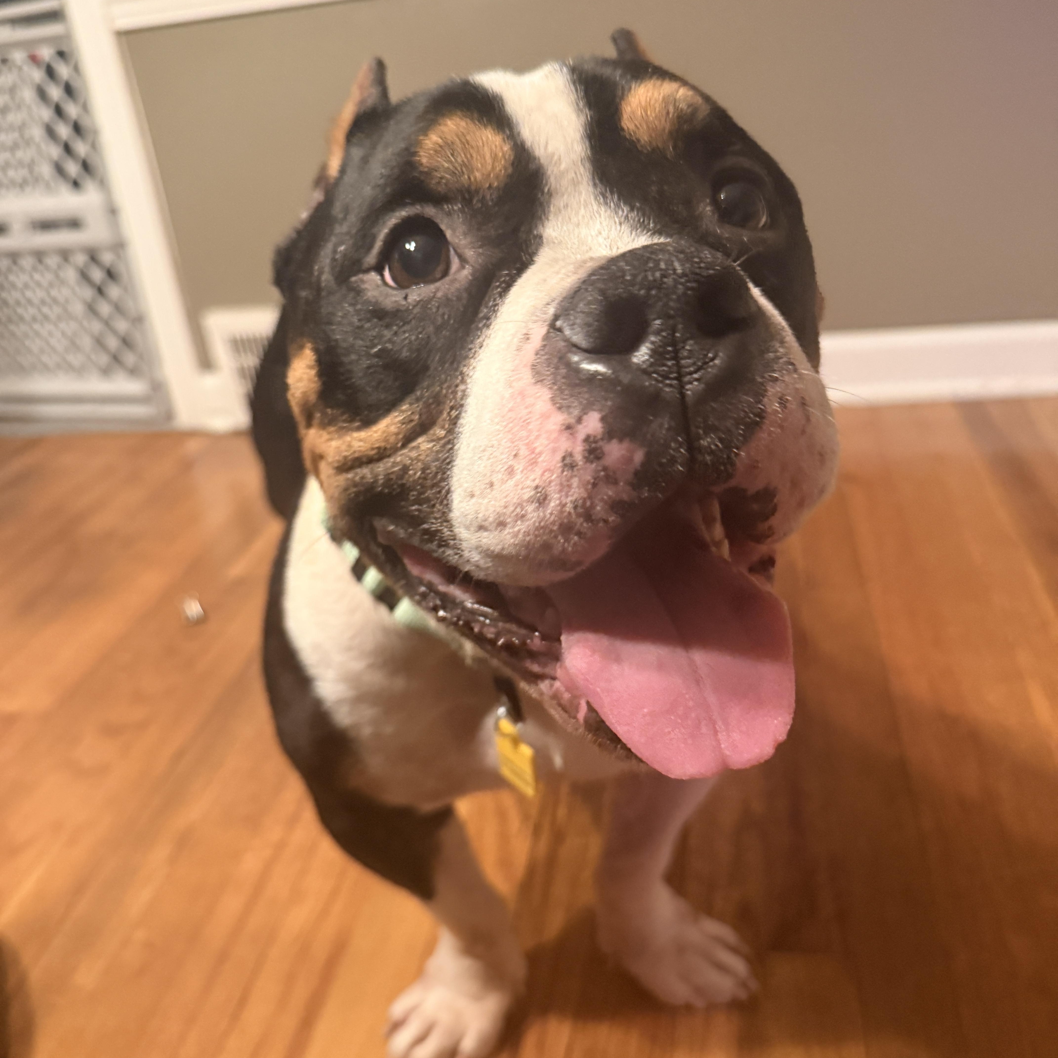 Beau