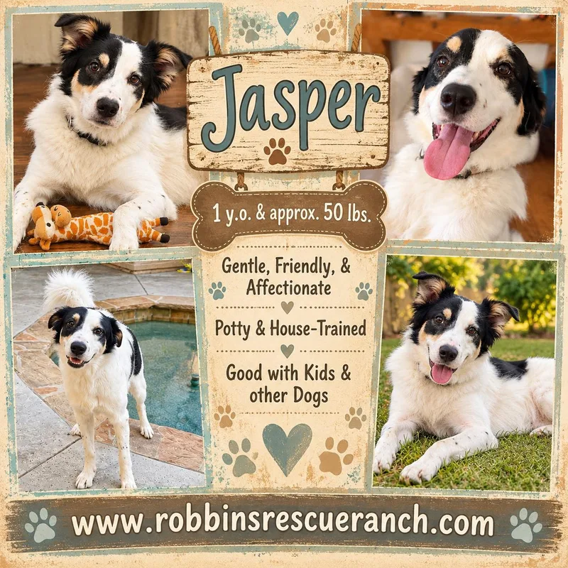 Jasper thumbnail 4