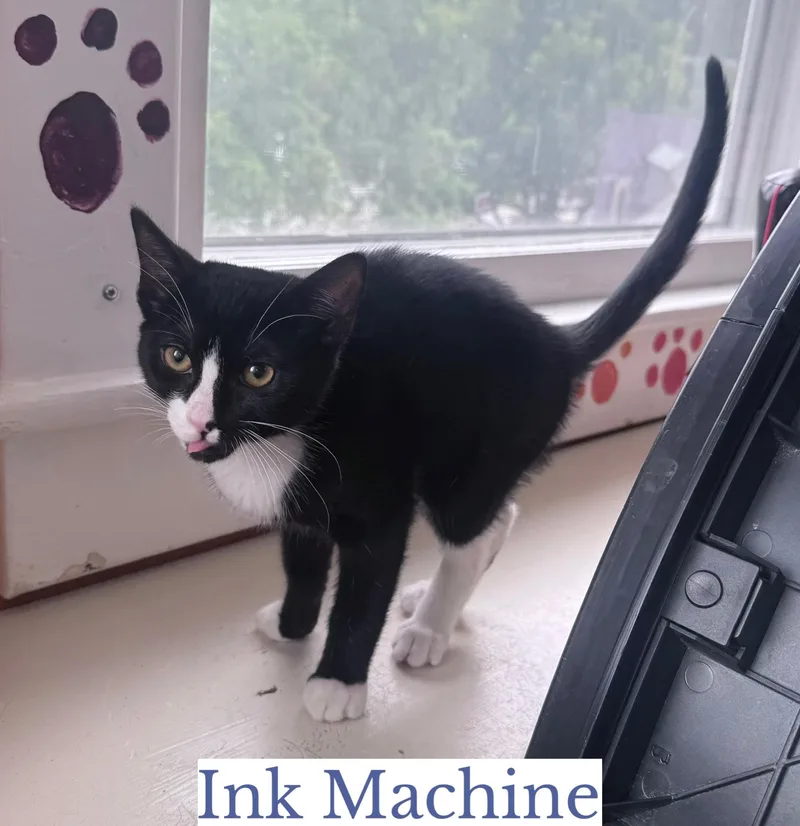 Ink Machine