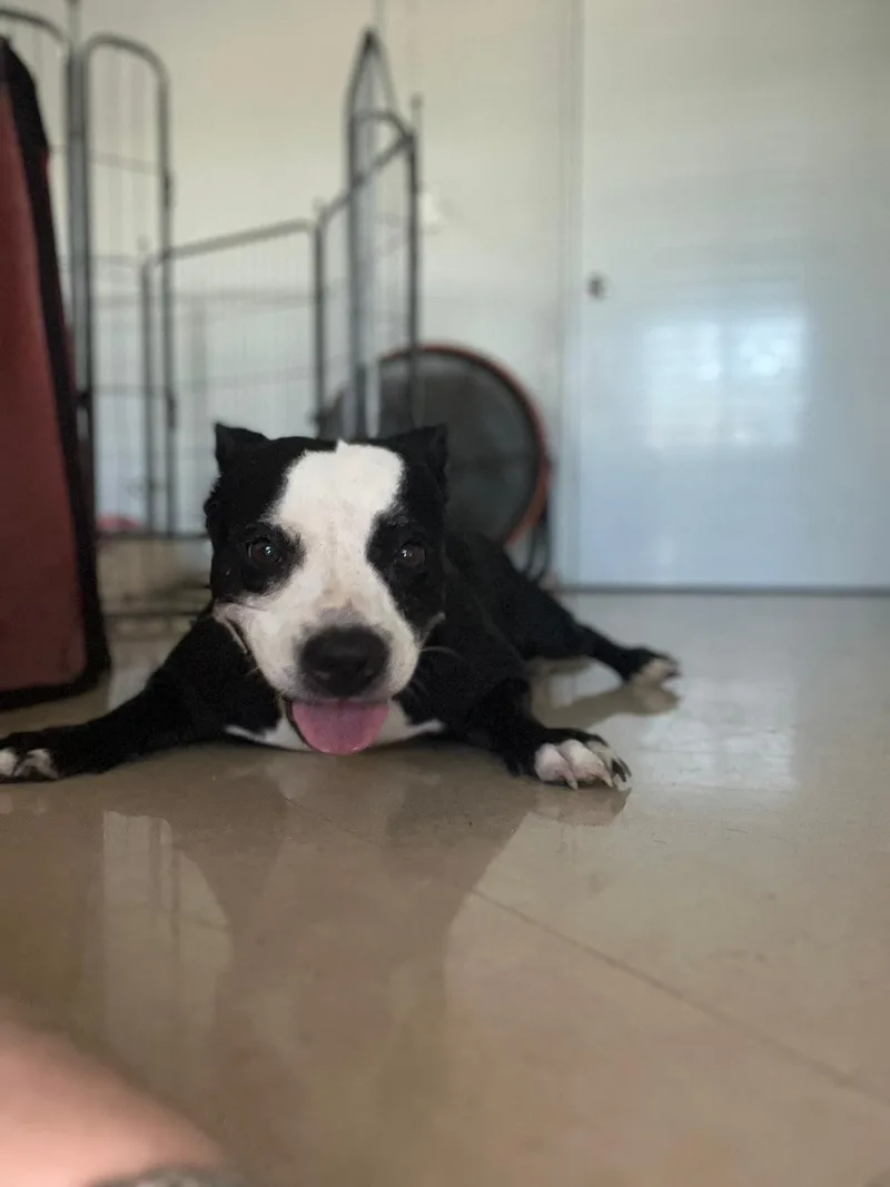 Camilla Rain thumbnail 2