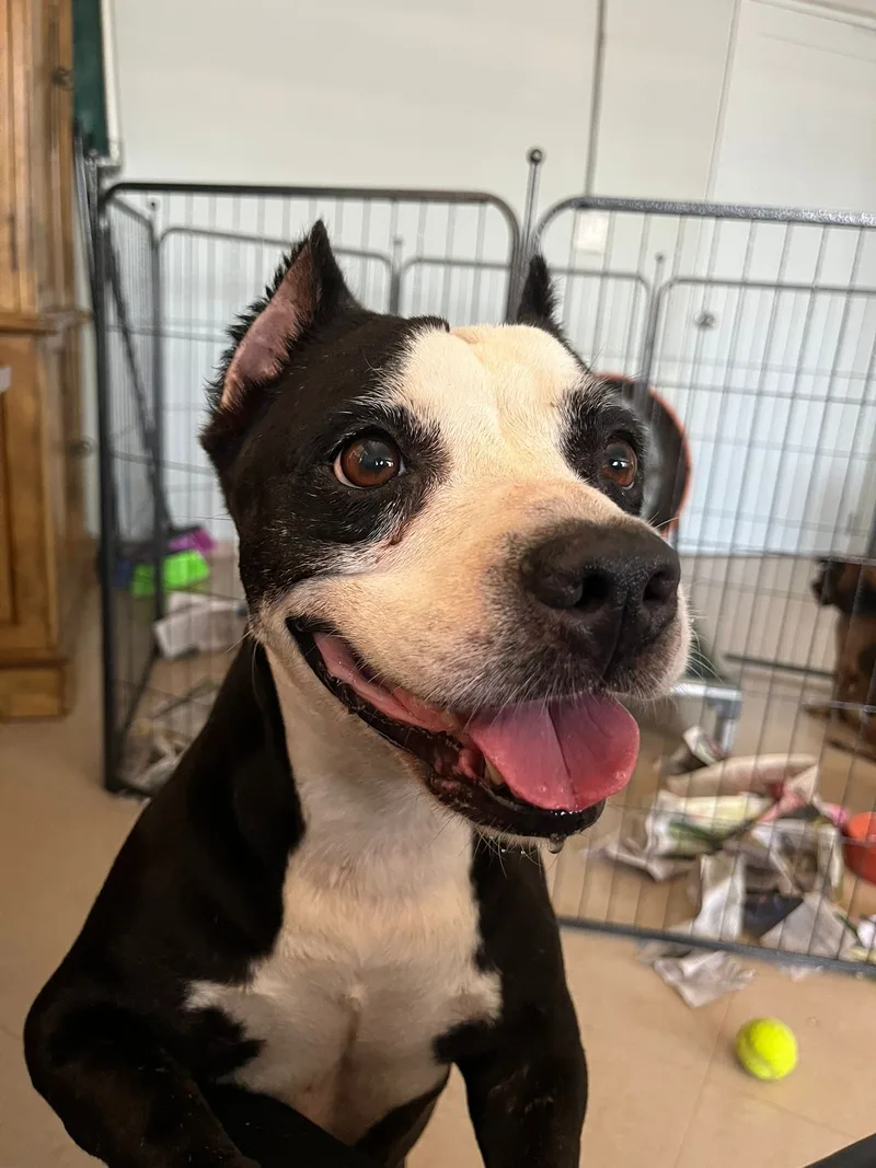 Camilla Rain thumbnail 3