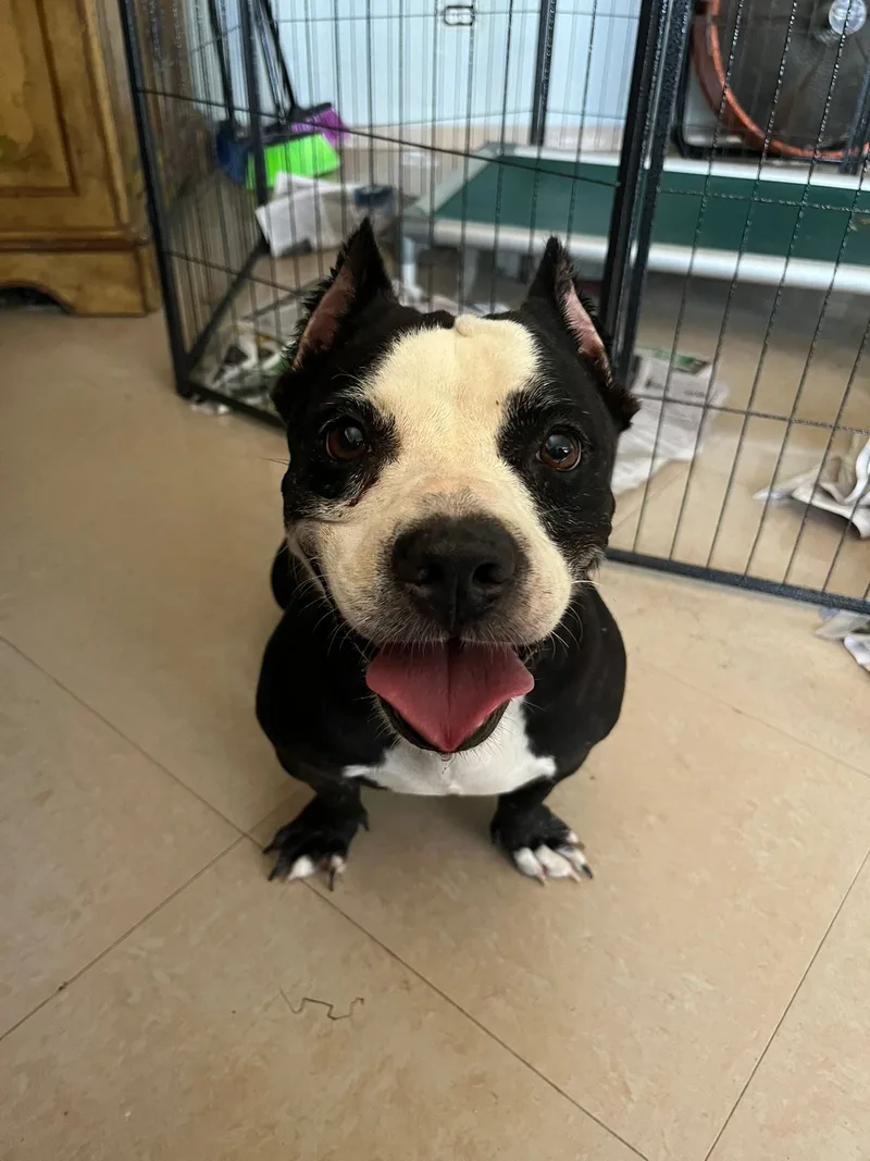 Camilla Rain thumbnail 4