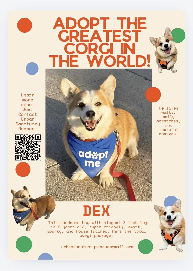 Dex thumbnail 3