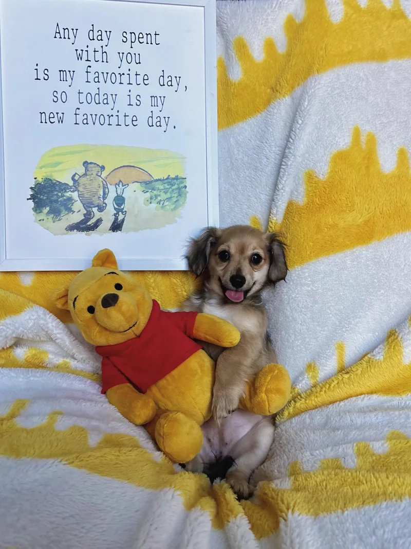 Kanga  Winnie the thumbnail 4