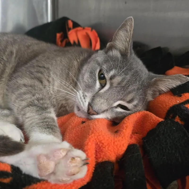 Mimi thumbnail 3