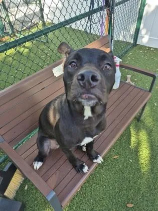 Duncan thumbnail 3