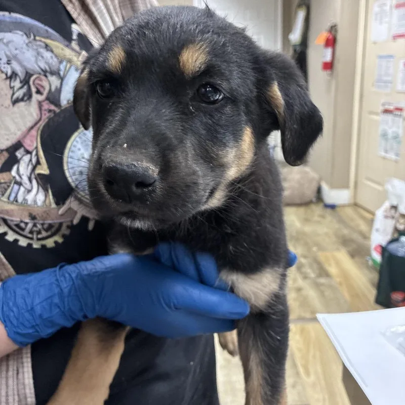 Ct Lauderdale thumbnail 2