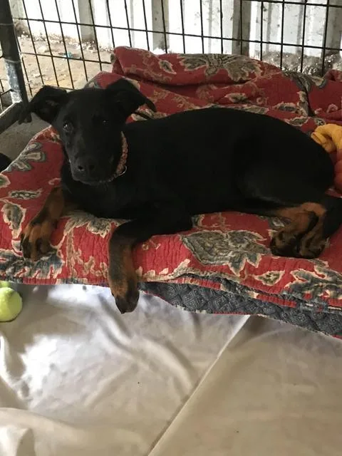 Padme Meg thumbnail 2