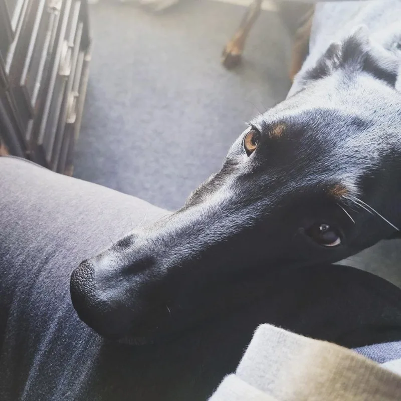 Padme Meg thumbnail 3