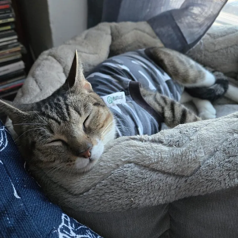 Liudmila thumbnail 2