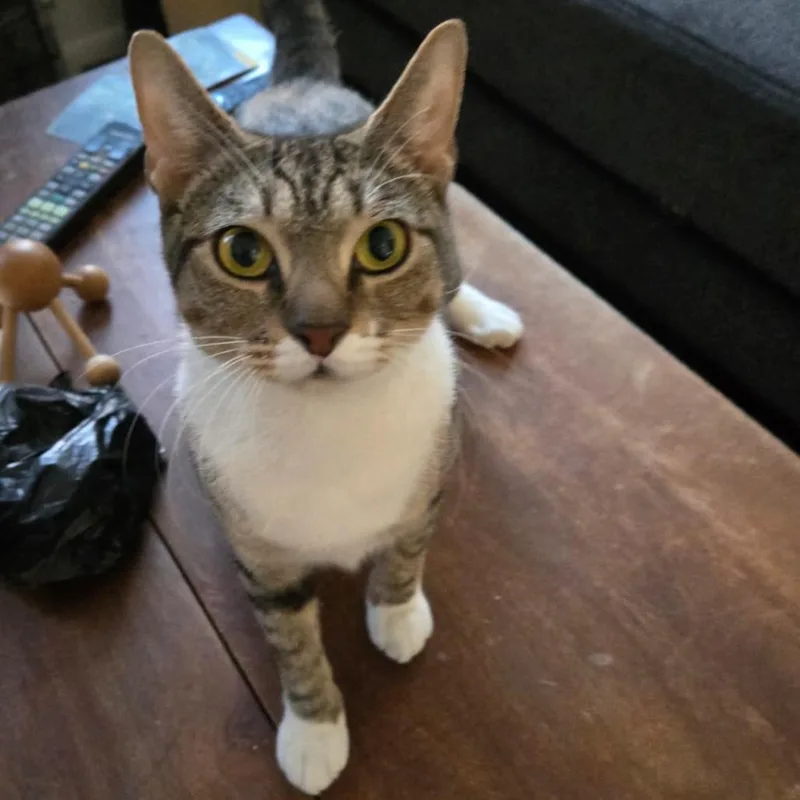 Liudmila thumbnail 3