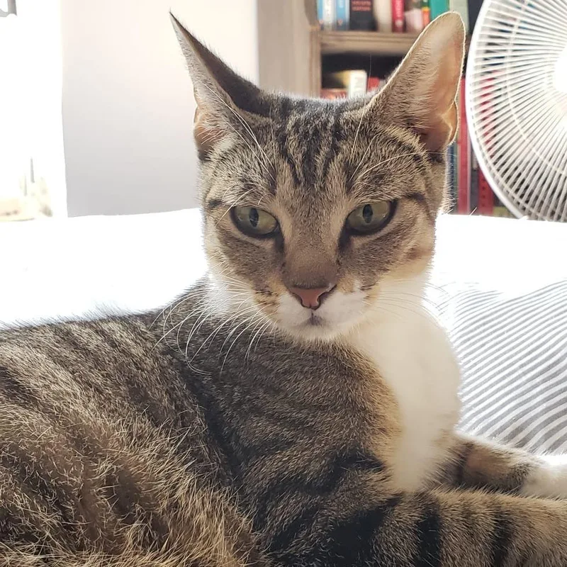 Liudmila thumbnail 4