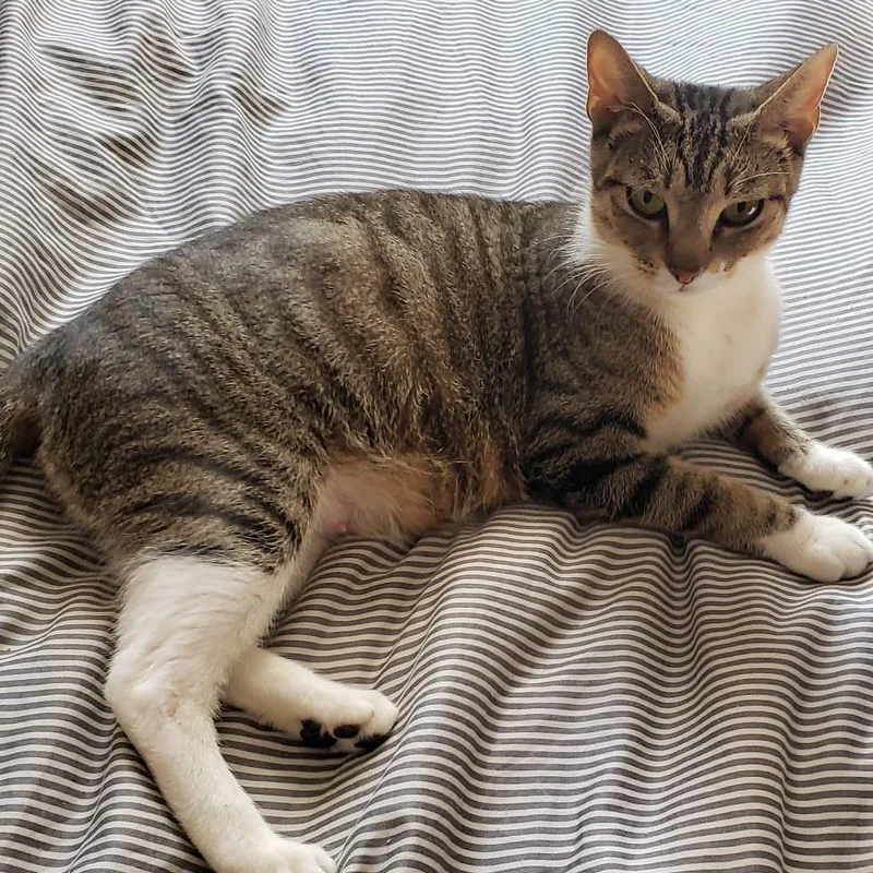 Liudmila thumbnail 5