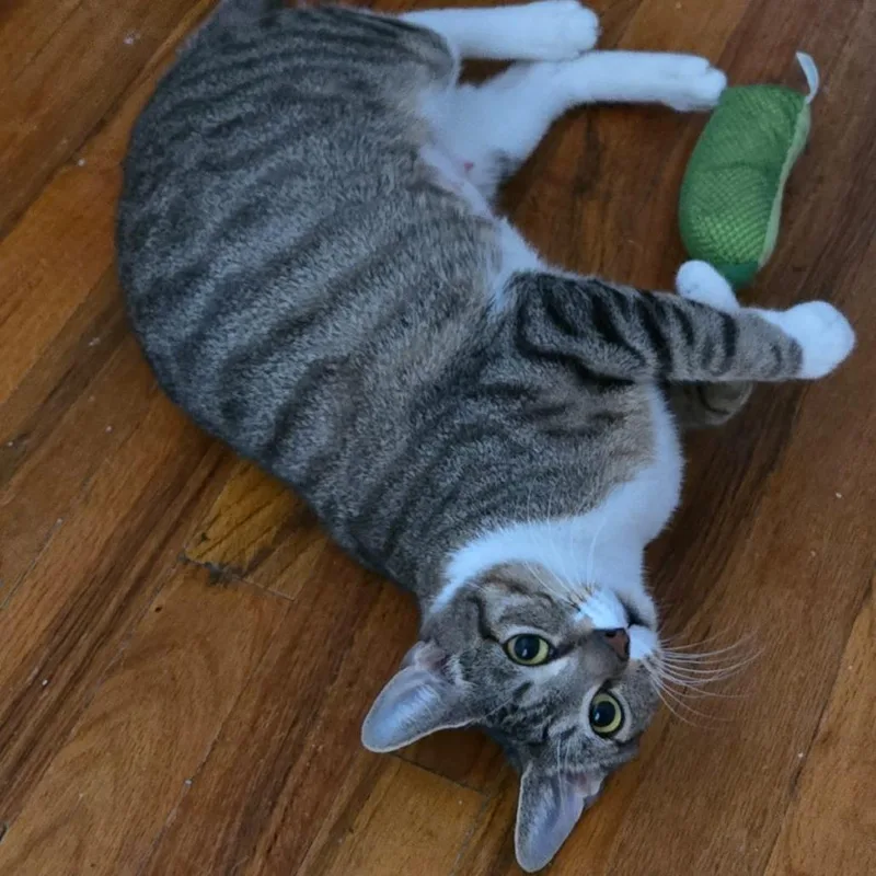 Liudmila thumbnail 6