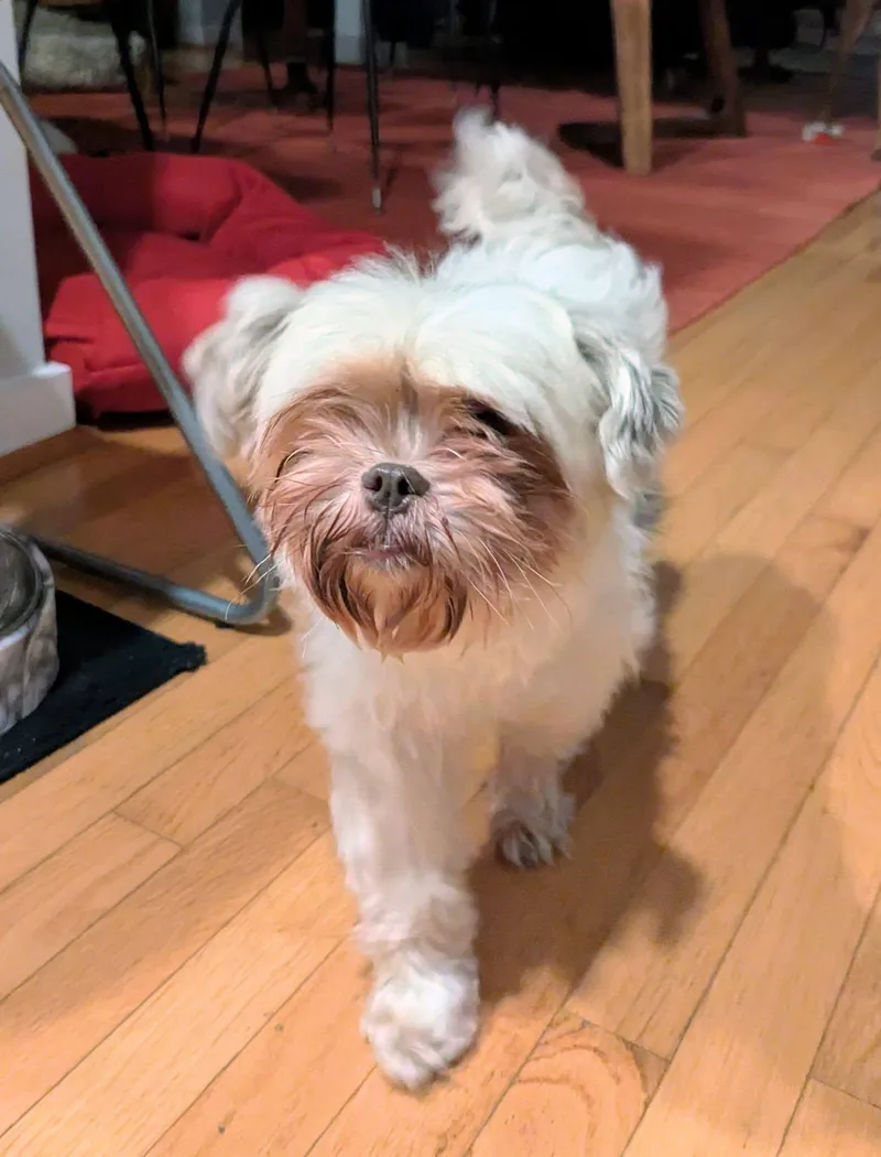 Jilly