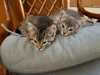 Jessa thumbnail 4