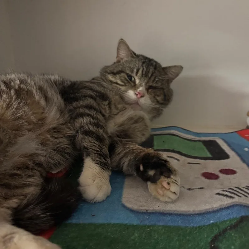 Fernando Aka Fetty Wap