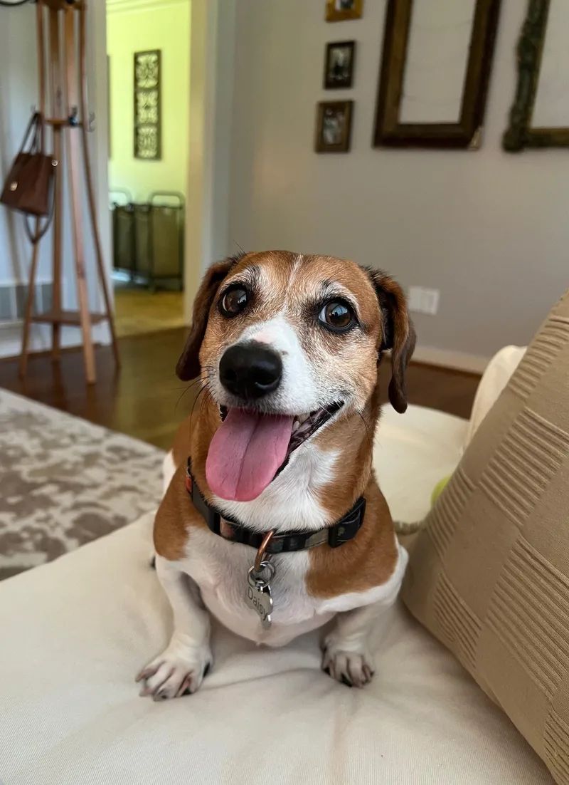 Daisy Mae thumbnail 3