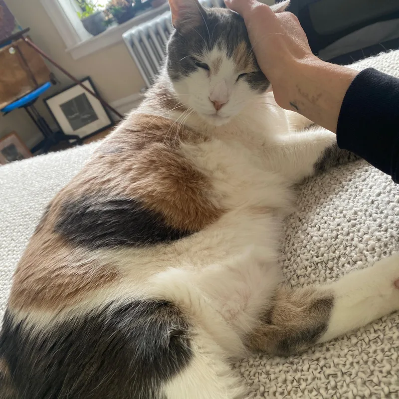 Norma Jean thumbnail 2