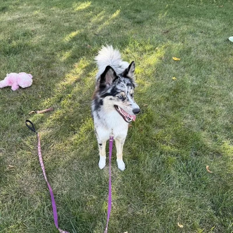 Roxy thumbnail 3