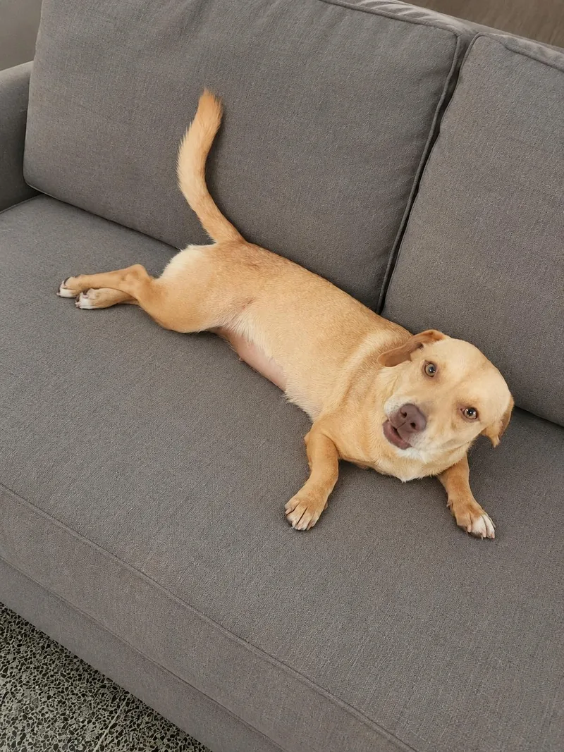 Auri  The Cuddlebug thumbnail 3