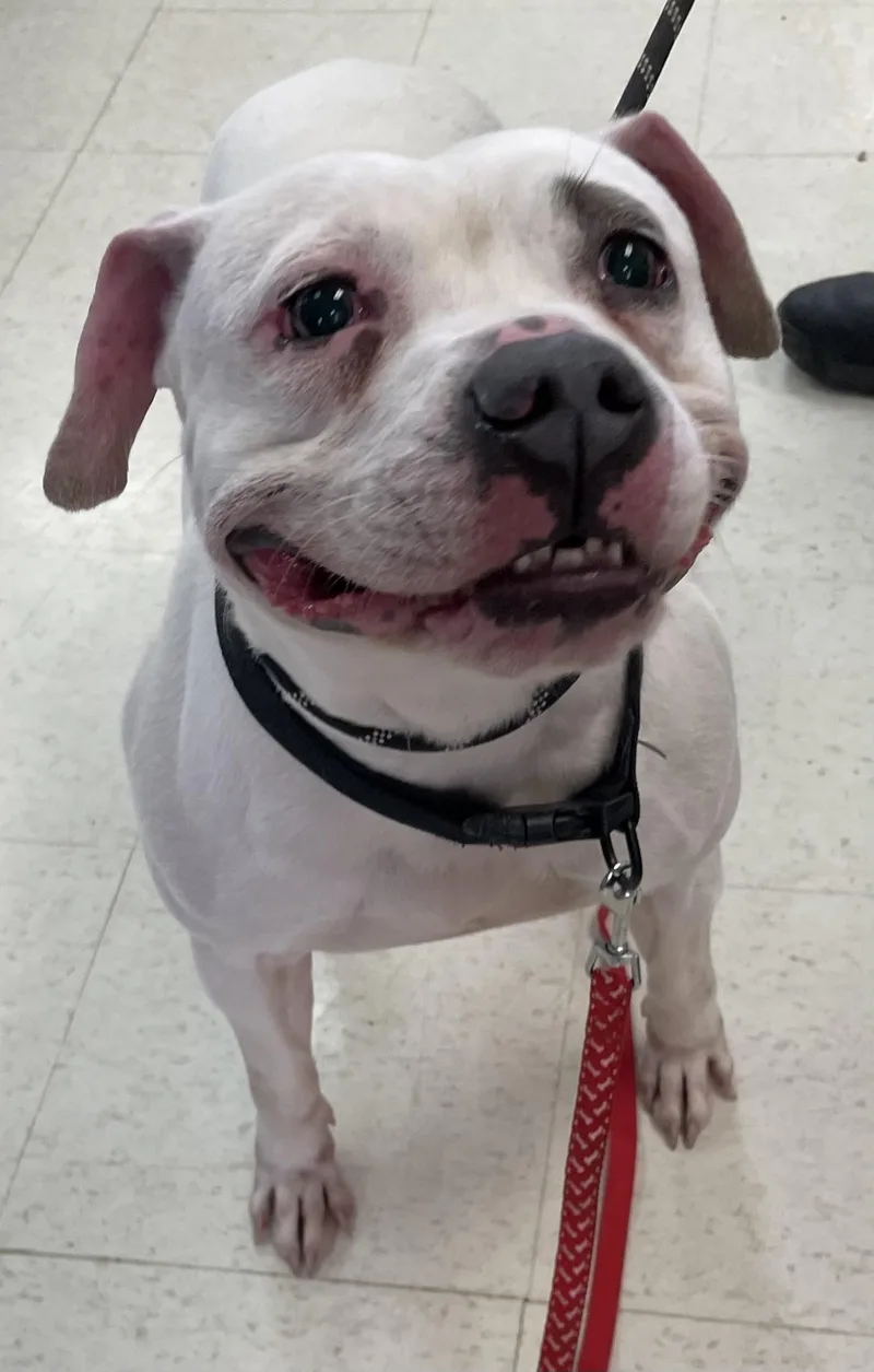 Cj Skyler Hold thumbnail 2