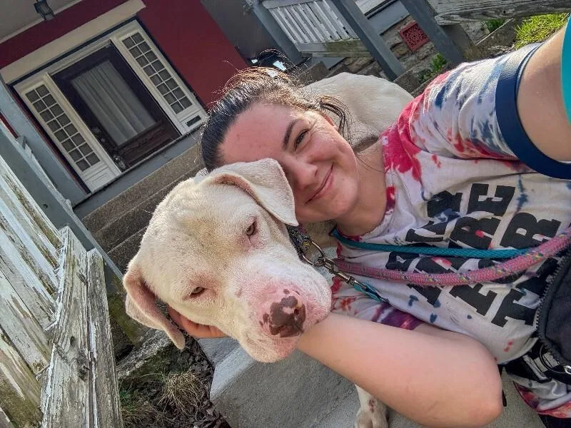 An adult large-sized male White / Cream Mixed Breed dog named Eden for adoption in Cincinnati, OH