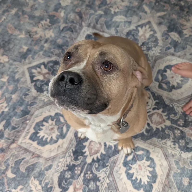 Mr. Prince thumbnail 2