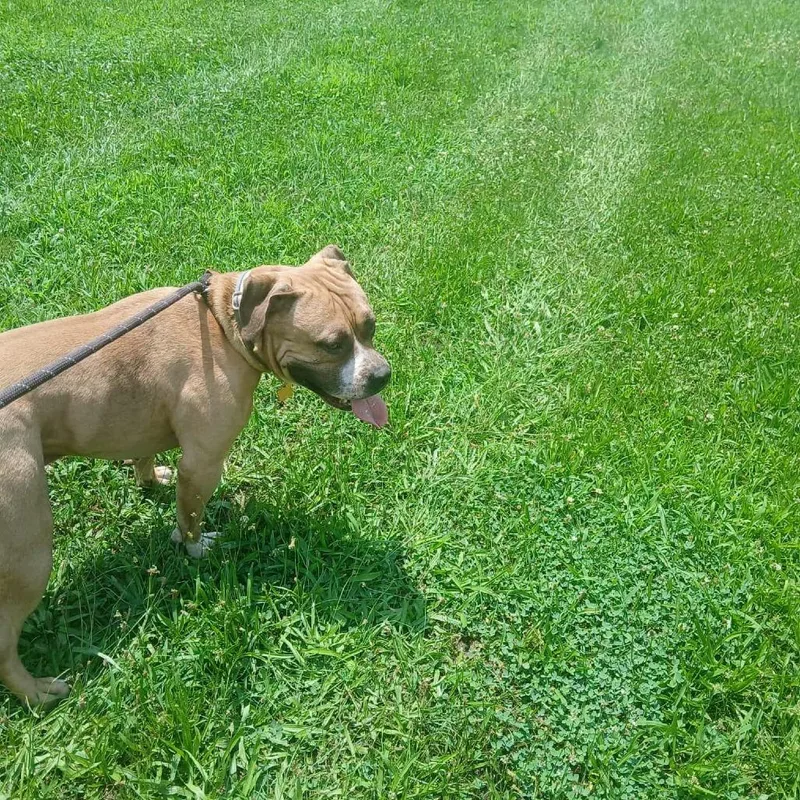 Mr. Prince thumbnail 3