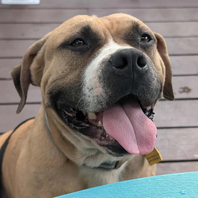 Mr. Prince thumbnail 4