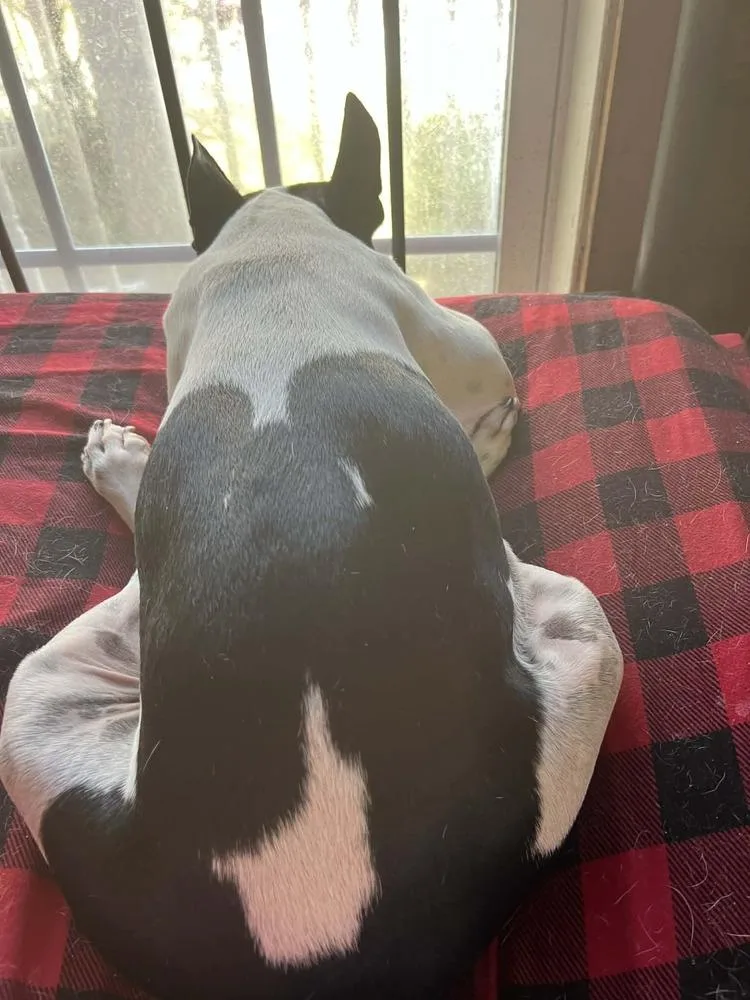 Cooper Hawkinsmaryville  Tn thumbnail 2