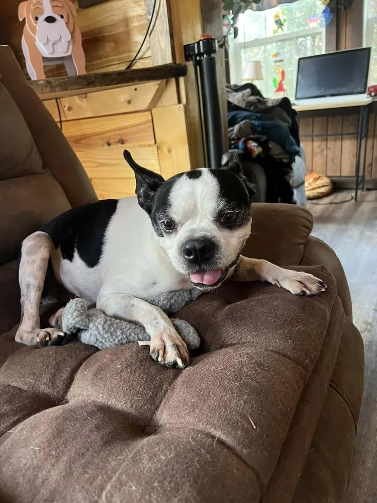 Cooper Hawkinsmaryville  Tn thumbnail 3