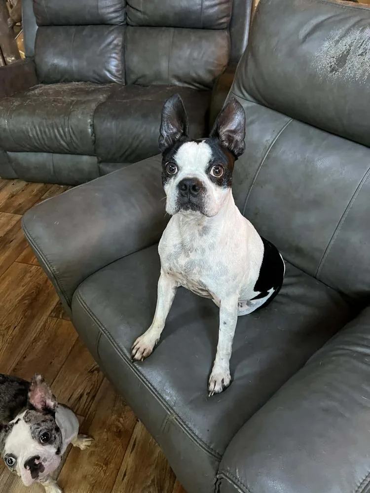 Cooper Hawkinsmaryville  Tn thumbnail 4